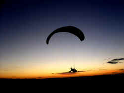 David_D-The night-rider.JPG (128085 bytes)